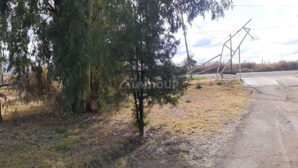Casa en Venta en San Rafael, Mendoza
