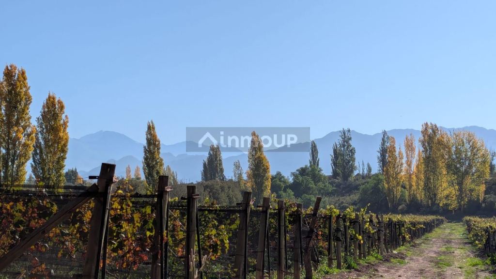 Finca en Venta en Lujan de Cuyo, Mendoza