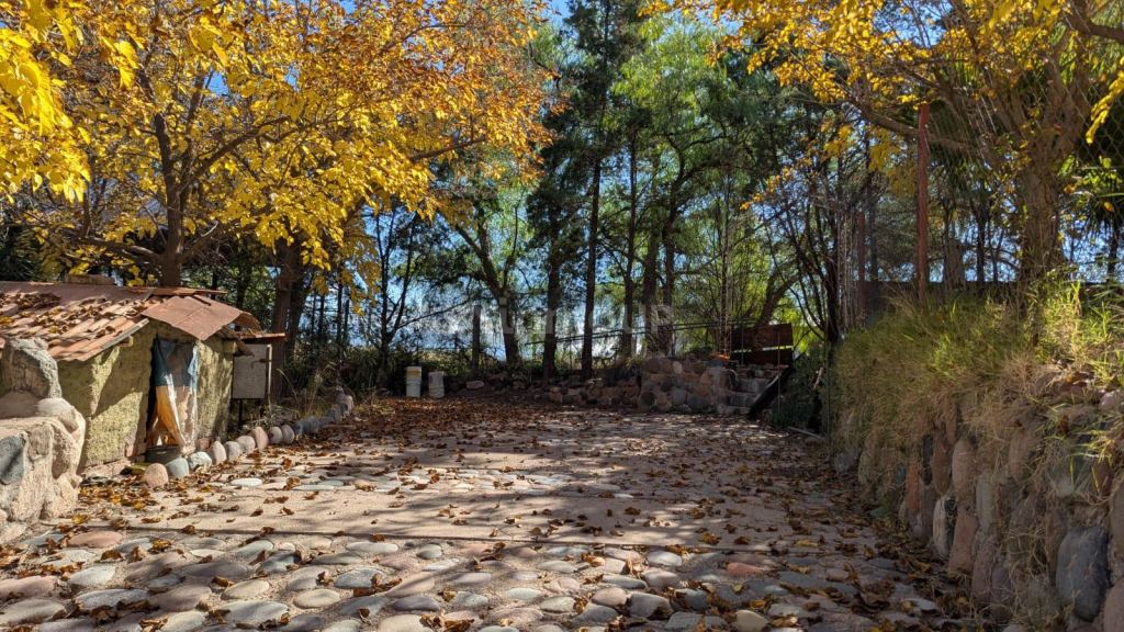 Terreno en Venta en Lujan de Cuyo, Mendoza