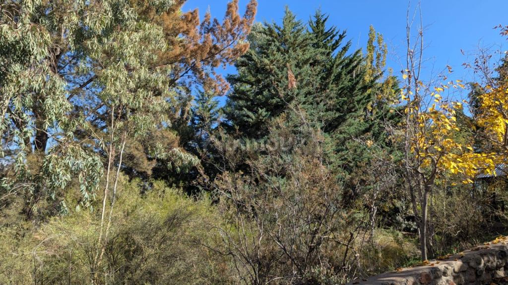 Terreno en Venta en Lujan de Cuyo, Mendoza