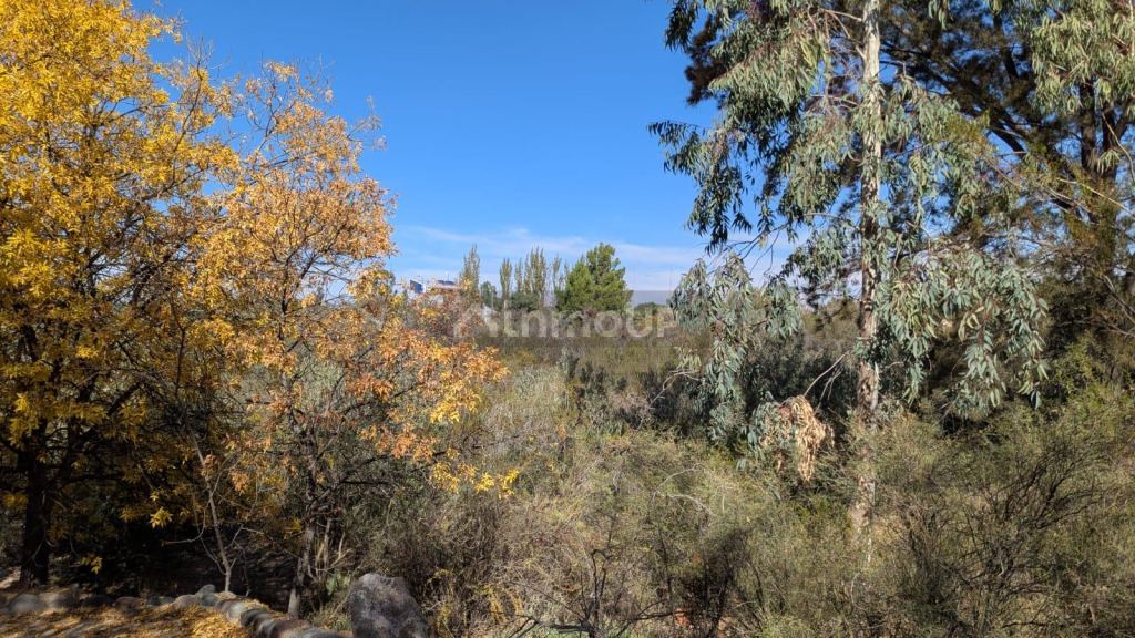 Terreno en Venta en Lujan de Cuyo, Mendoza