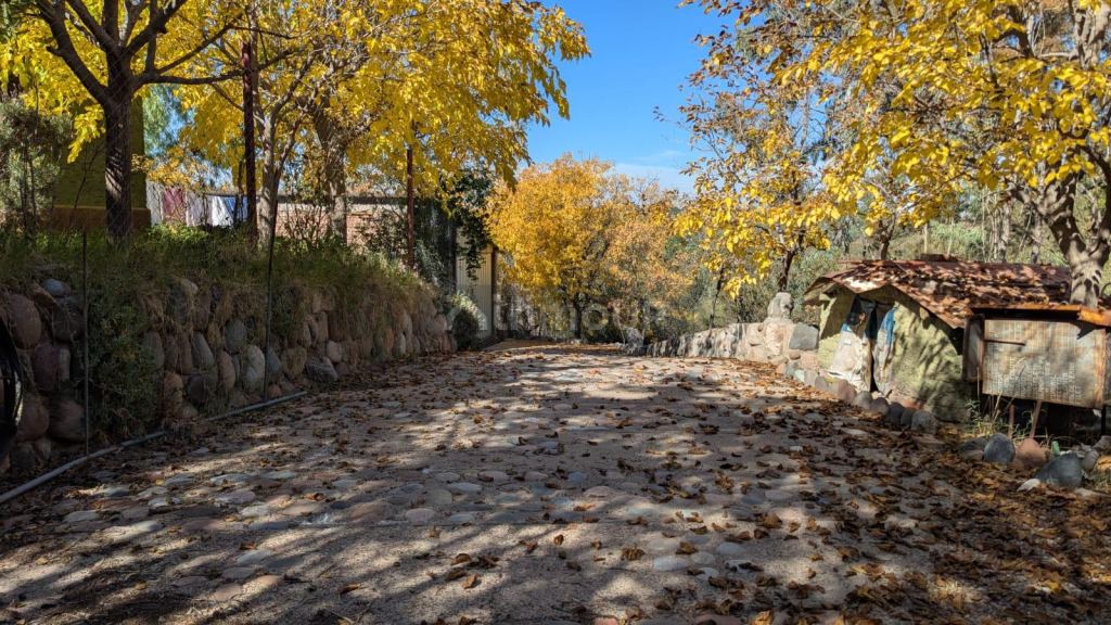 Terreno en Venta en Lujan de Cuyo, Mendoza