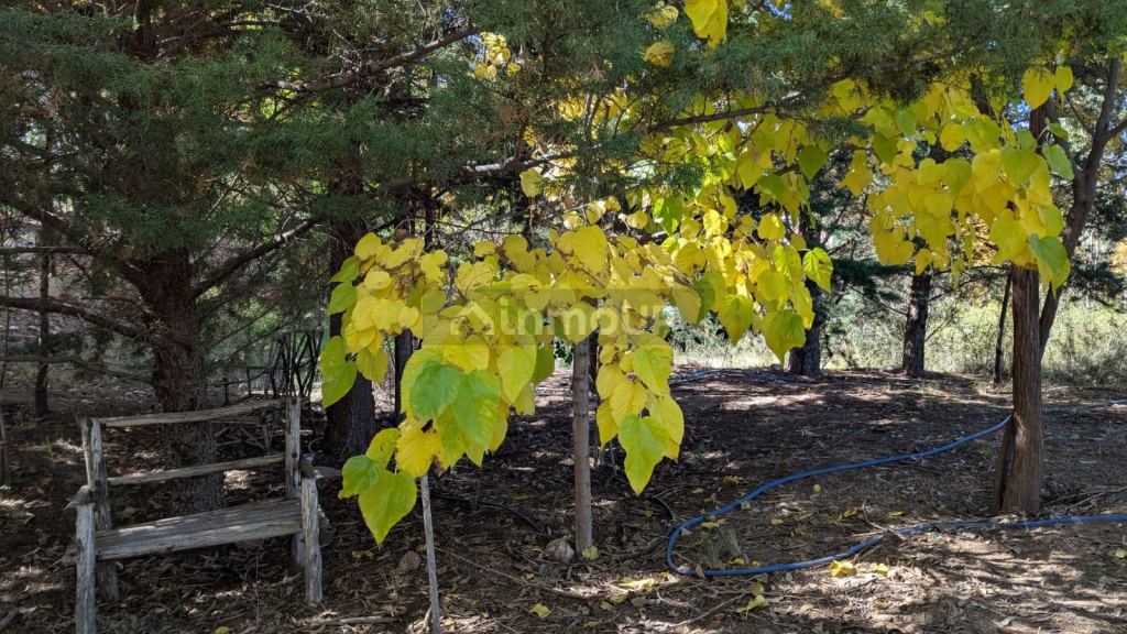 Terreno en Venta en Lujan de Cuyo, Mendoza