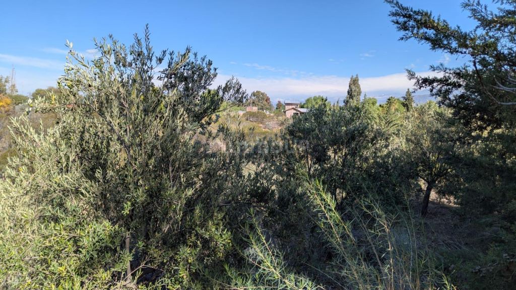 Terreno en Venta en Lujan de Cuyo, Mendoza