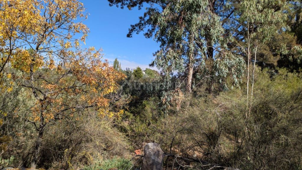 Terreno en Venta en Lujan de Cuyo, Mendoza