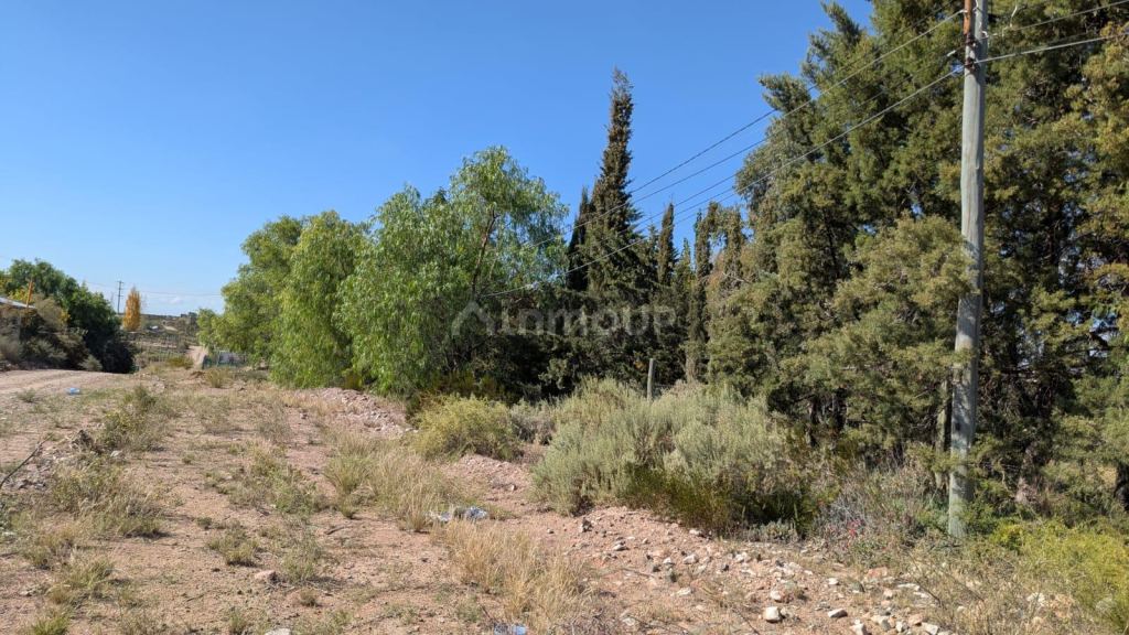 Terreno en Venta en Lujan de Cuyo, Mendoza