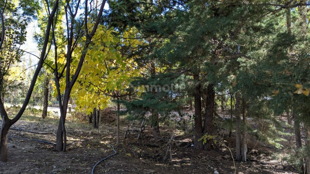 Terreno en Venta en Lujan de Cuyo, Mendoza