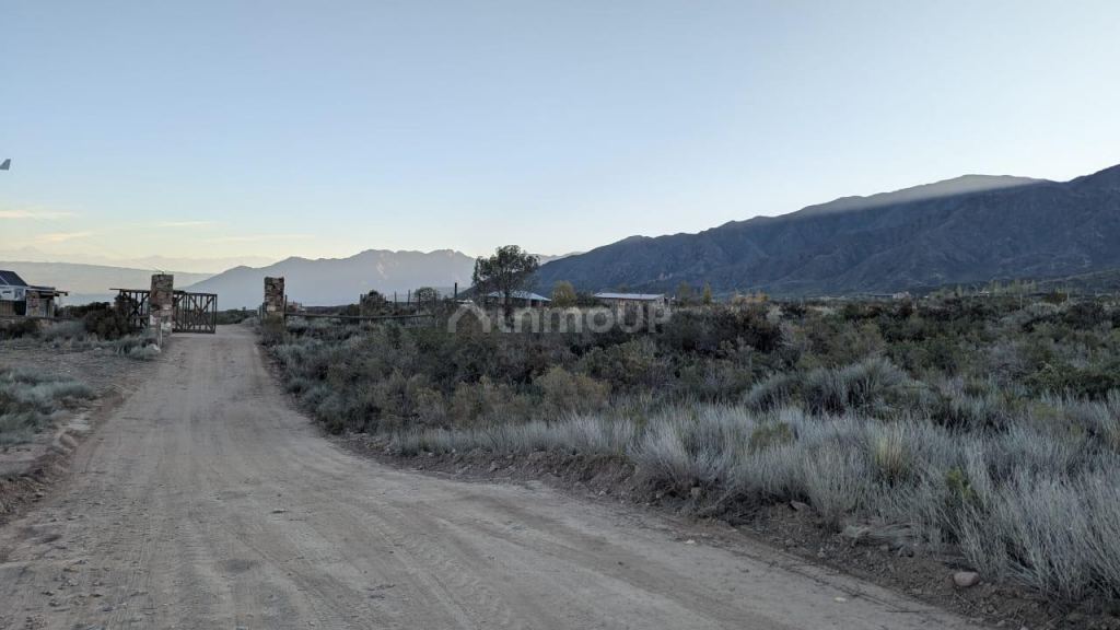 Lote en Venta en Lujan de Cuyo, Mendoza