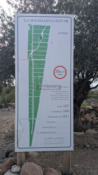 Lote en Venta en Lujan de Cuyo, Mendoza