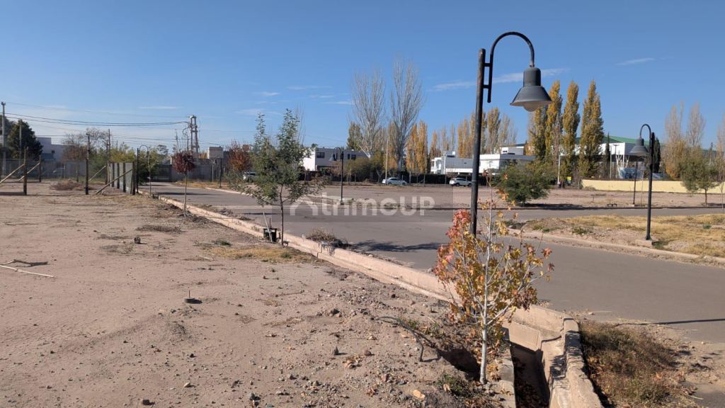 Lote en Venta en Lujan de Cuyo, Mendoza