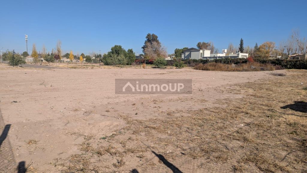 Lote en Venta en Lujan de Cuyo, Mendoza