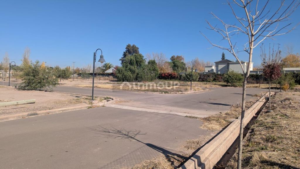 Lote en Venta en Lujan de Cuyo, Mendoza