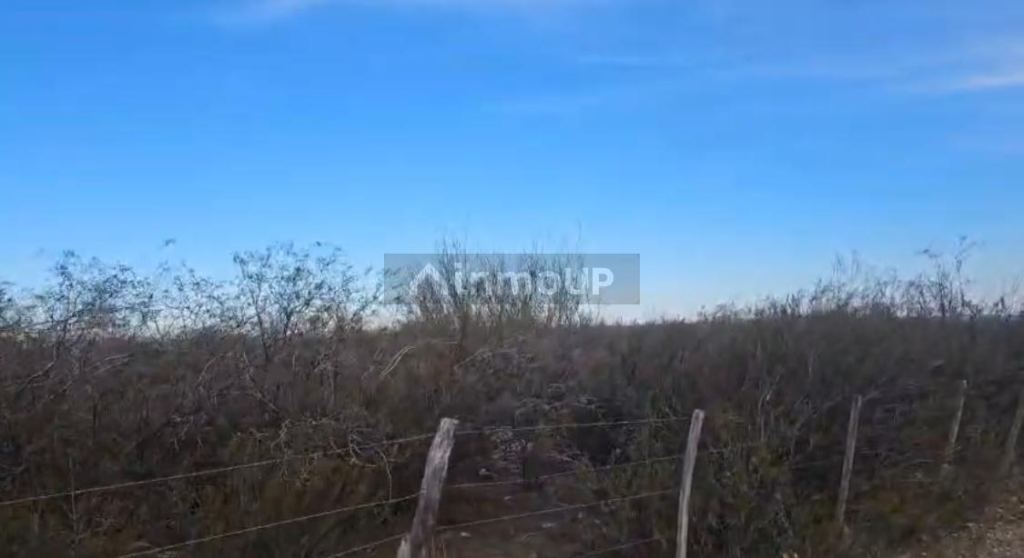 Terreno en Venta en Tupungato, Mendoza
