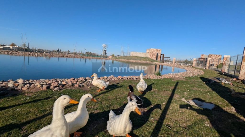 Lote en Venta en Lujan de Cuyo, Mendoza