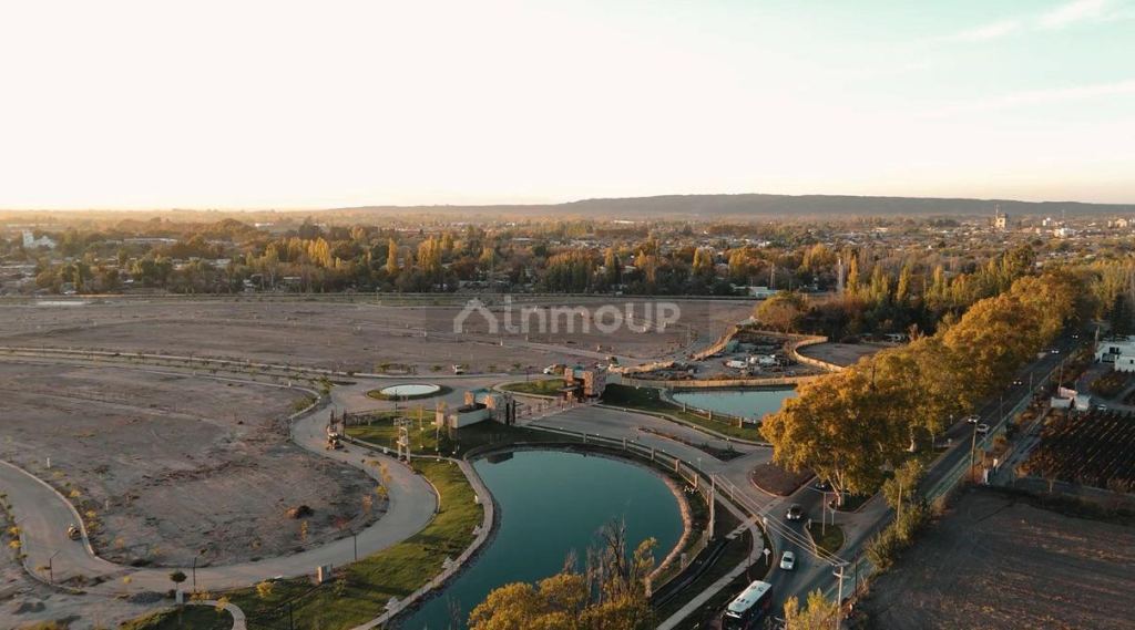 Lote en Venta en Lujan de Cuyo, Mendoza