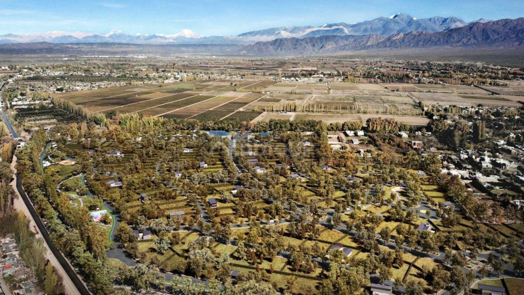 Lote en Venta en Lujan de Cuyo, Mendoza