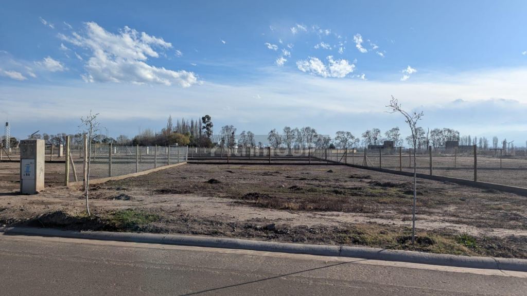 Lote en Venta en Lujan de Cuyo, Mendoza