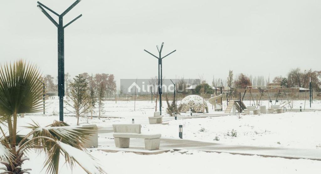 Lote en Venta en Lujan de Cuyo, Mendoza