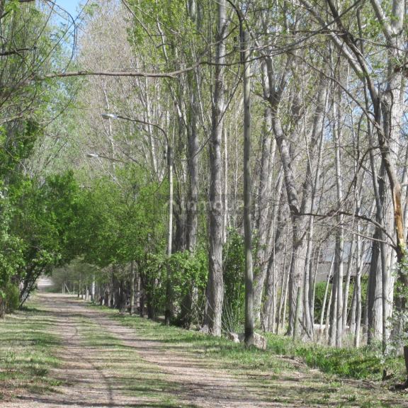 Lote en Venta en Tunuyan, Mendoza