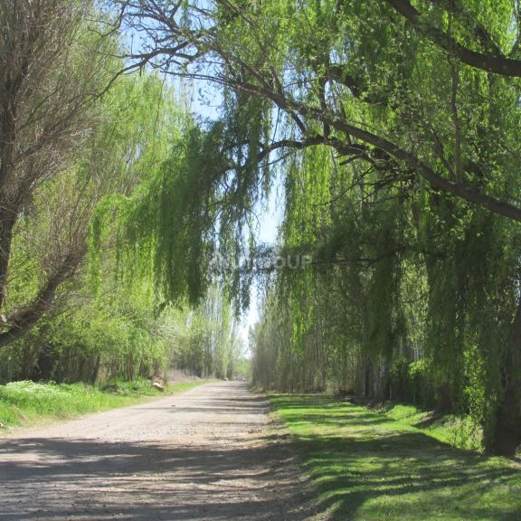 Lote en Venta en Tunuyan, Mendoza