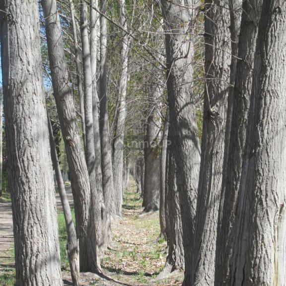 Lote en Venta en Tunuyan, Mendoza