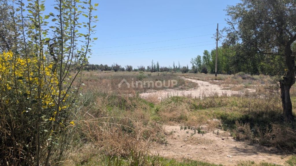 Lote en Venta en Maipu, Mendoza