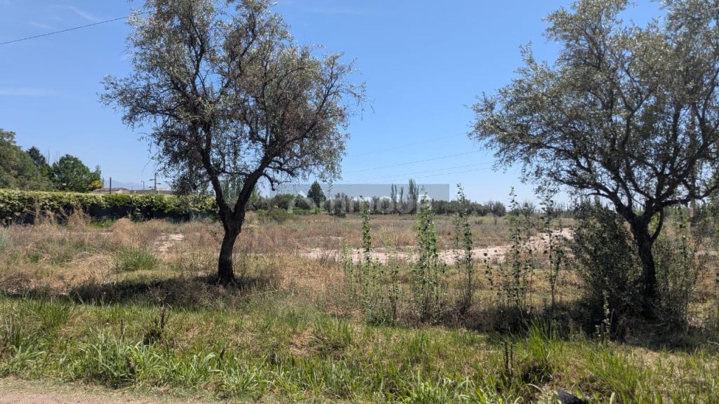 Lote en Venta en Maipu, Mendoza