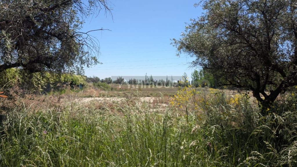 Lote en Venta en Maipu, Mendoza