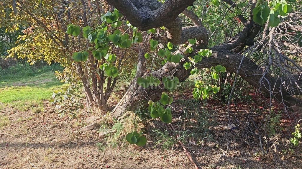 Casa en Alquiler en Guaymallen, Mendoza