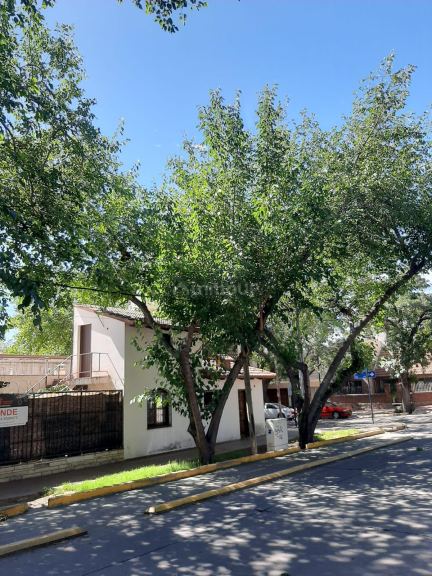 Duplex en Alquiler en Capital, Mendoza