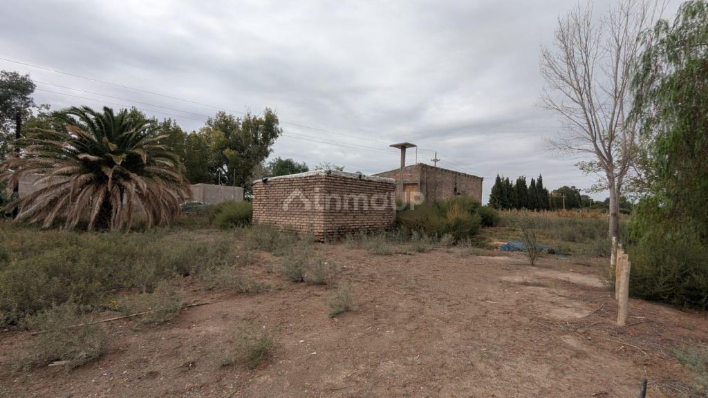 Finca en Venta en Lavalle, Mendoza