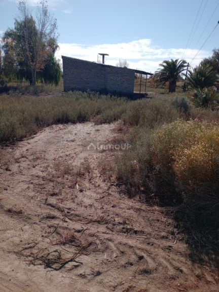Finca en Venta en Lavalle, Mendoza