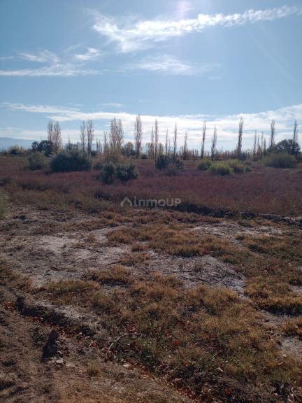 Finca en Venta en Lavalle, Mendoza