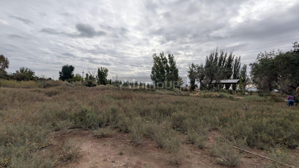 Finca en Venta en Lavalle, Mendoza