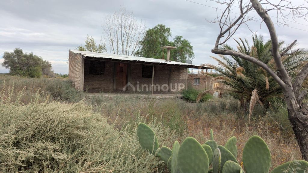 Finca en Venta en Lavalle, Mendoza