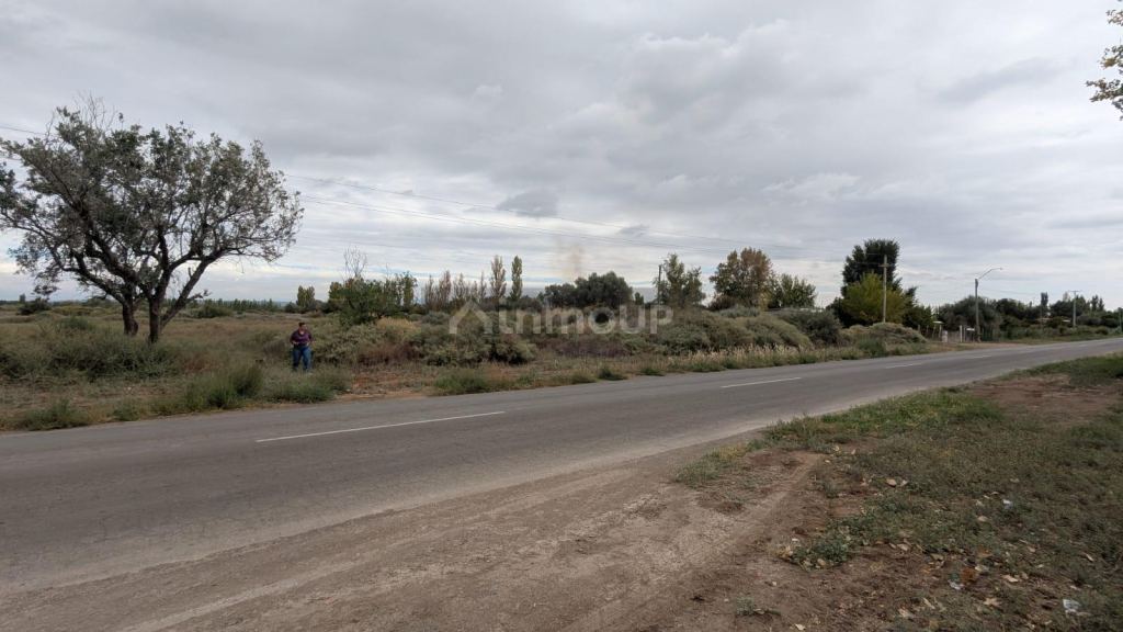 Finca en Venta en Lavalle, Mendoza