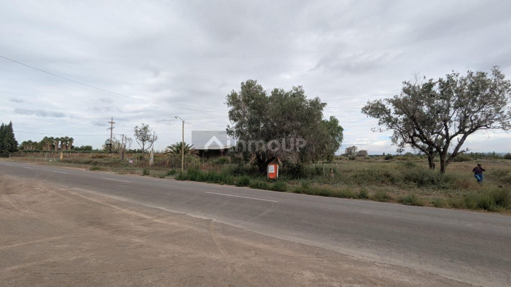 Finca en Venta en Lavalle, Mendoza