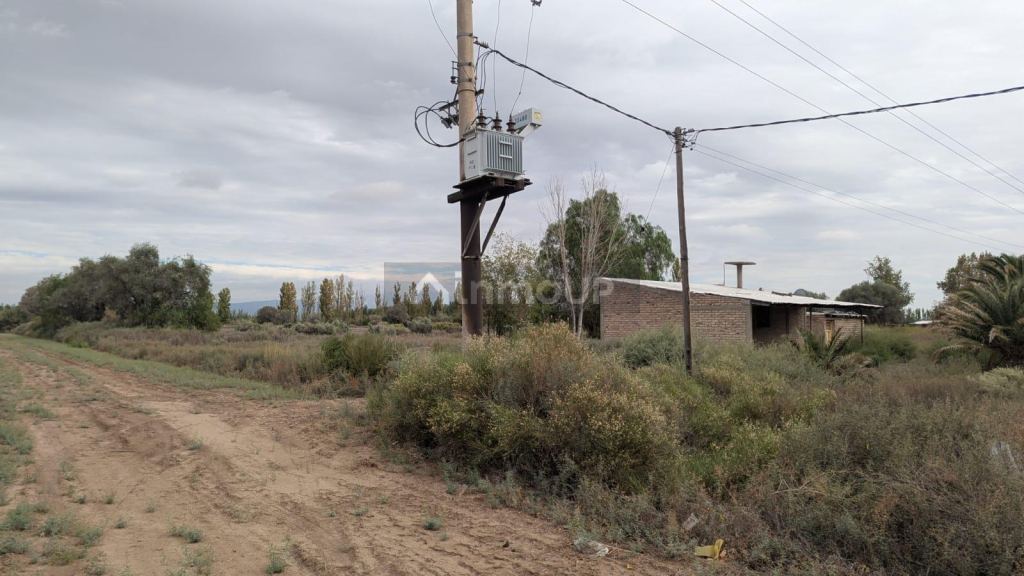 Finca en Venta en Lavalle, Mendoza