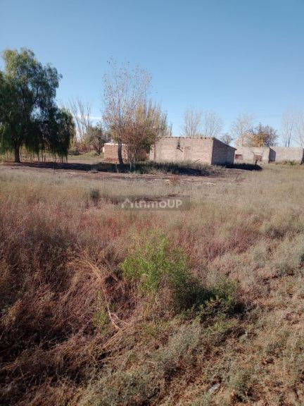 Finca en Venta en Lavalle, Mendoza