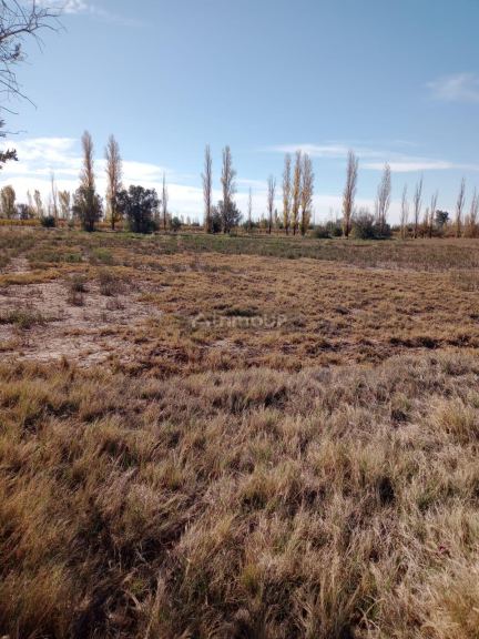 Finca en Venta en Lavalle, Mendoza