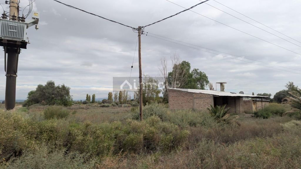 Finca en Venta en Lavalle, Mendoza