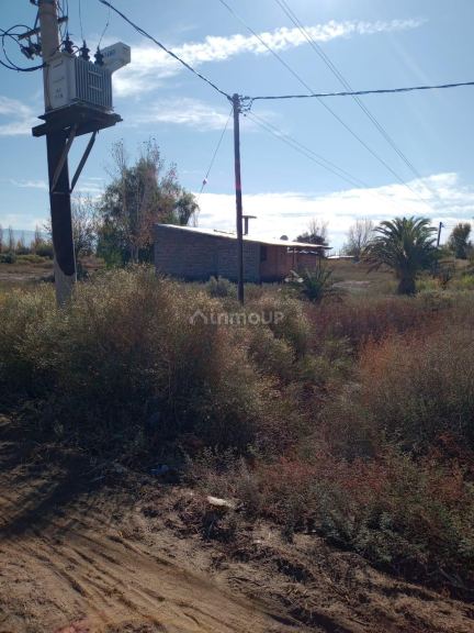 Finca en Venta en Lavalle, Mendoza