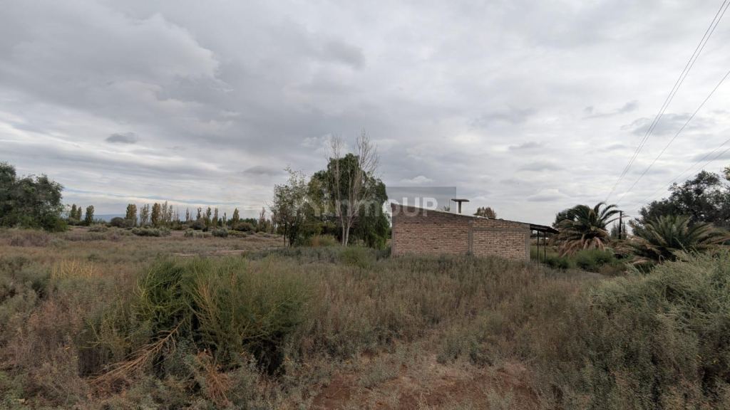 Finca en Venta en Lavalle, Mendoza