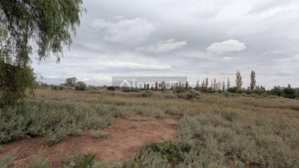 Finca en Venta en Lavalle, Mendoza