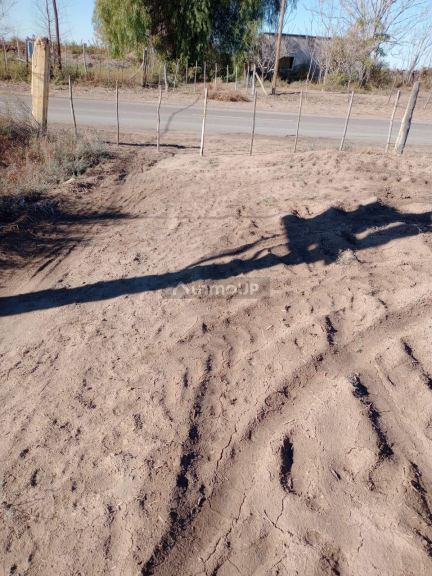 Finca en Venta en Lavalle, Mendoza