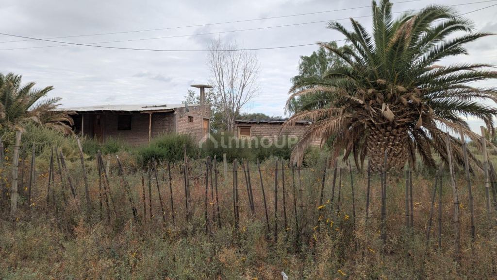 Finca en Venta en Lavalle, Mendoza