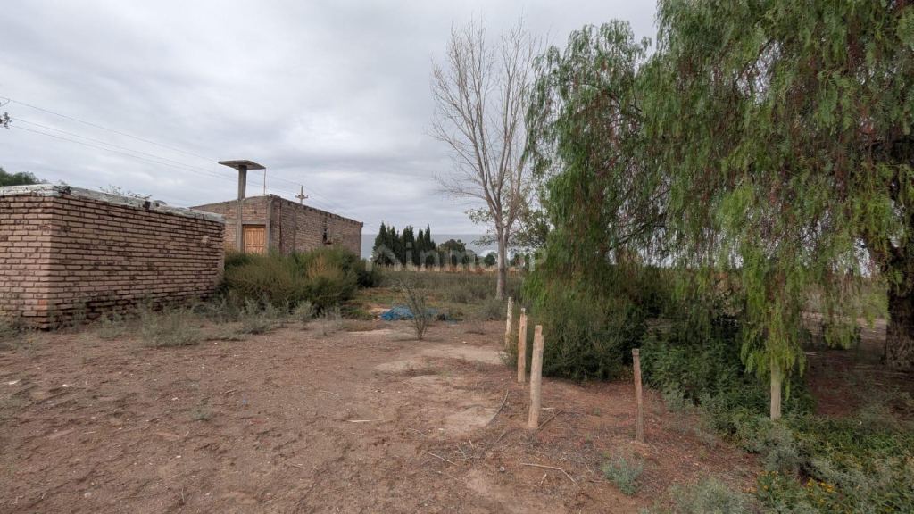 Finca en Venta en Lavalle, Mendoza