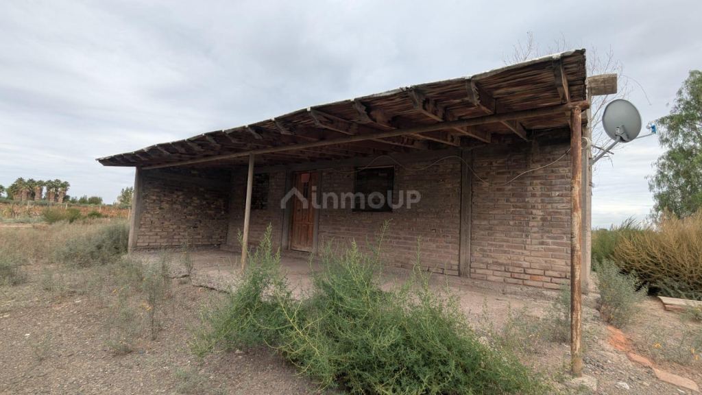 Finca en Venta en Lavalle, Mendoza