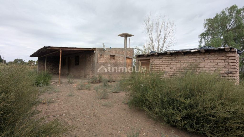 Finca en Venta en Lavalle, Mendoza