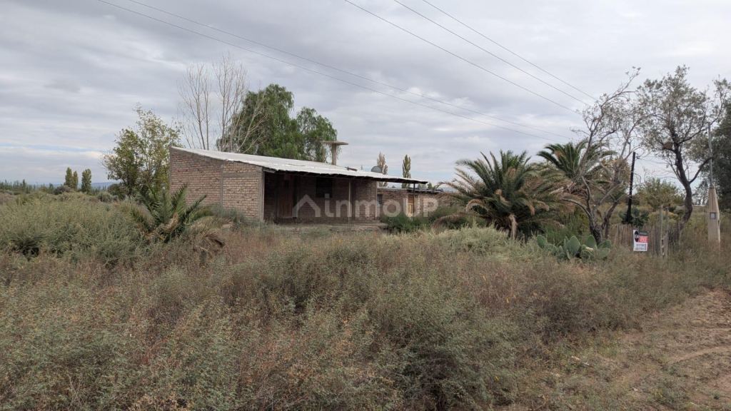 Finca en Venta en Lavalle, Mendoza